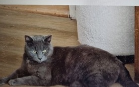Gijsfacebook2