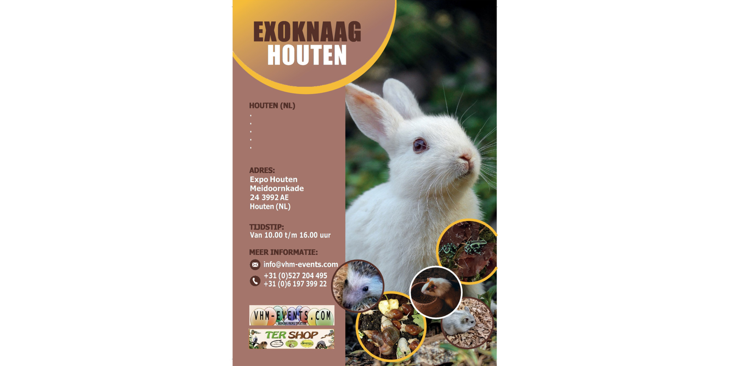 Exoknaag