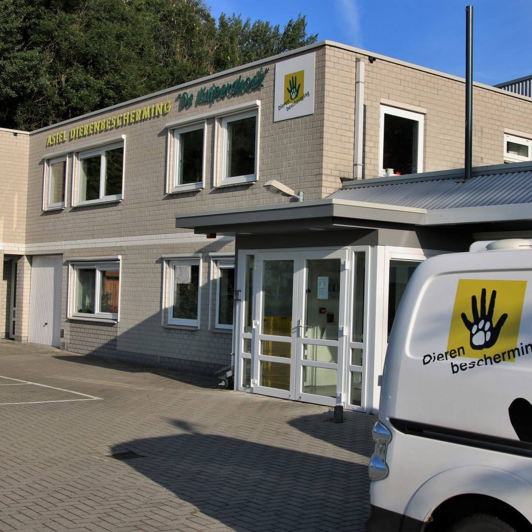 Kuijpershoek