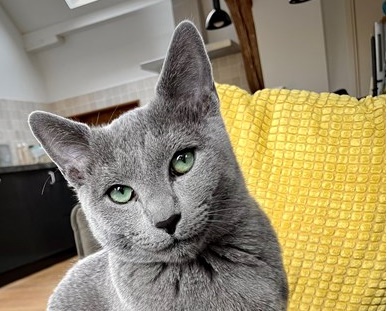 Gijs3