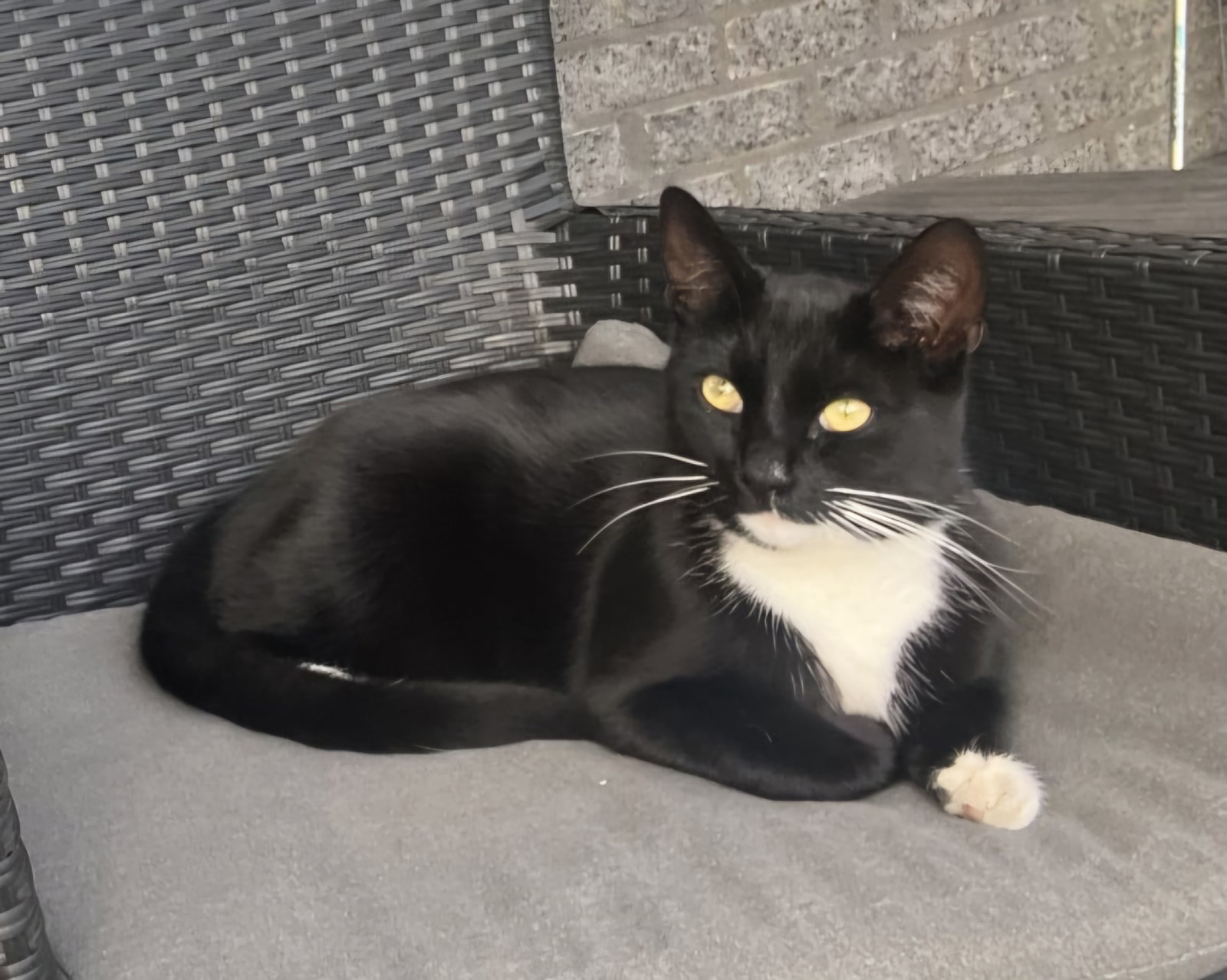 Milo2157700