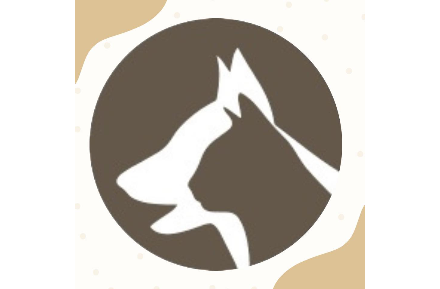 Logo Asiel Beilen