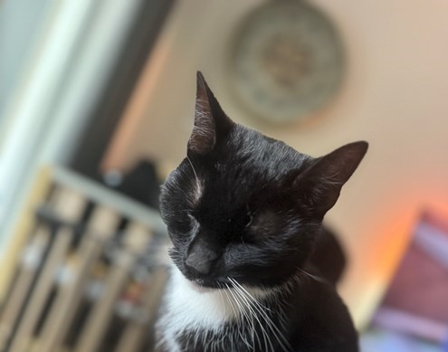 Smokey1