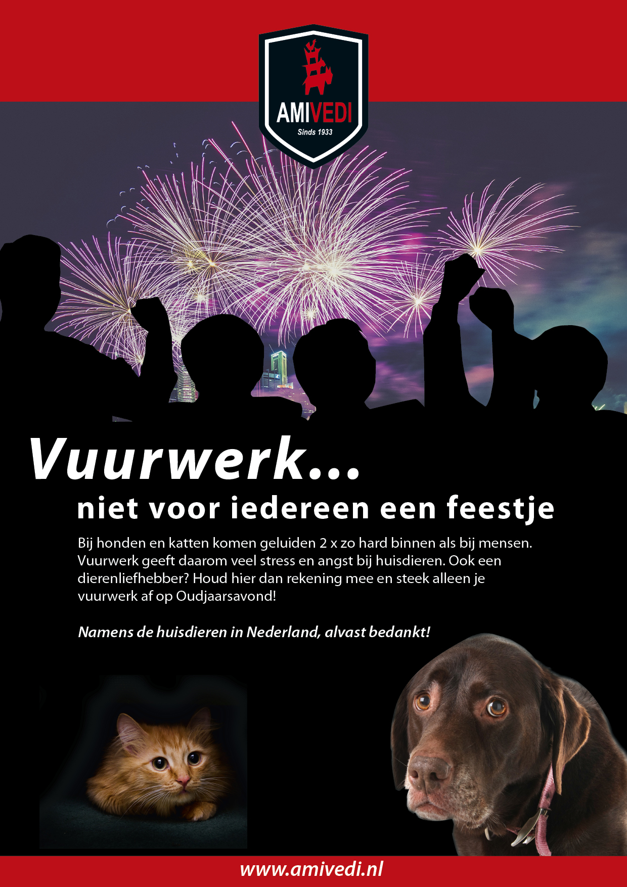 Vuurwerkposter AMI