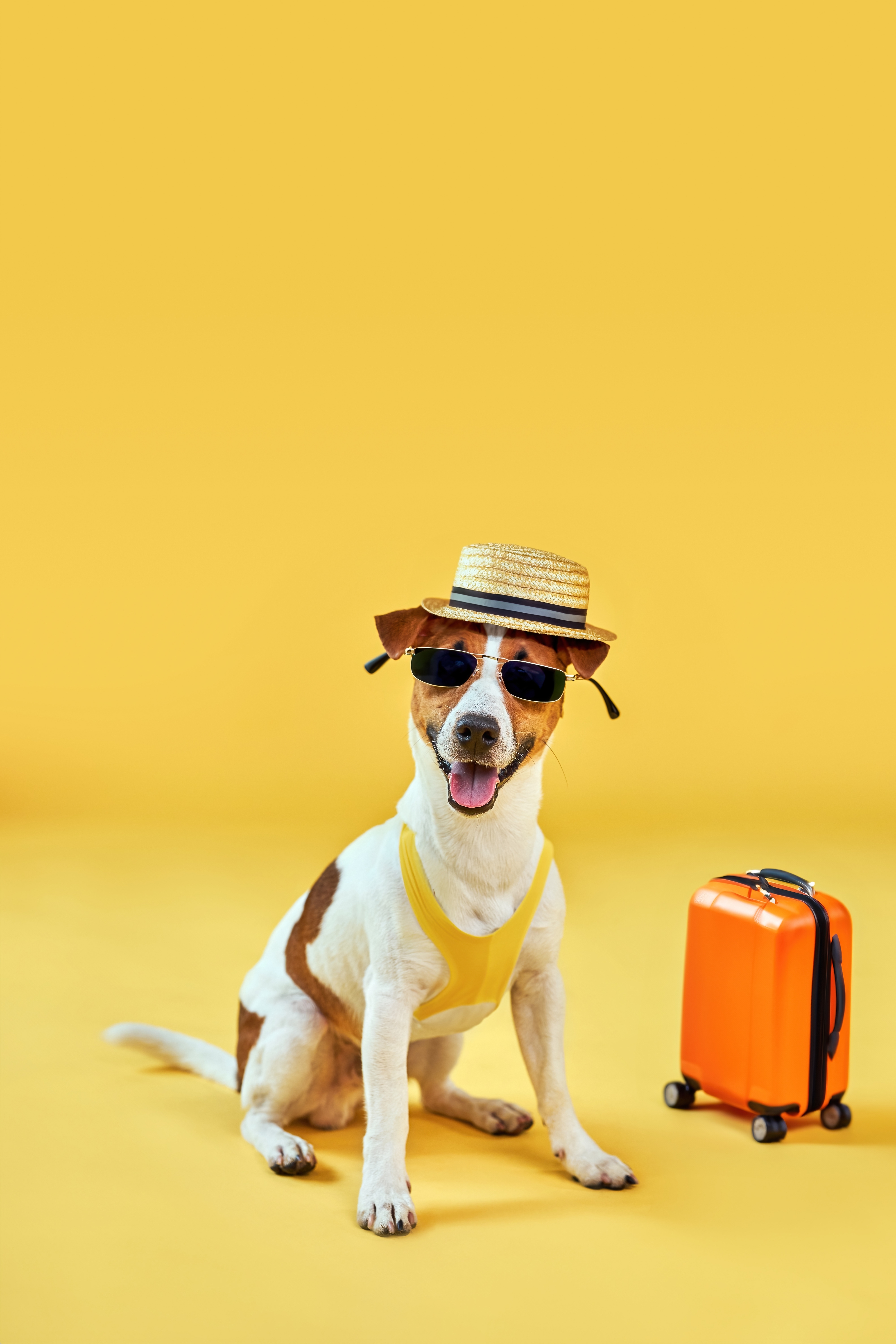 Vakantieperiode